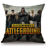 PUBG Black Chicken Dinner Pillows Model