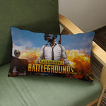 PUBG Black Chicken Dinner Pillows Model